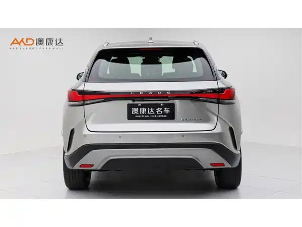 Lexus RX New Energy 2025