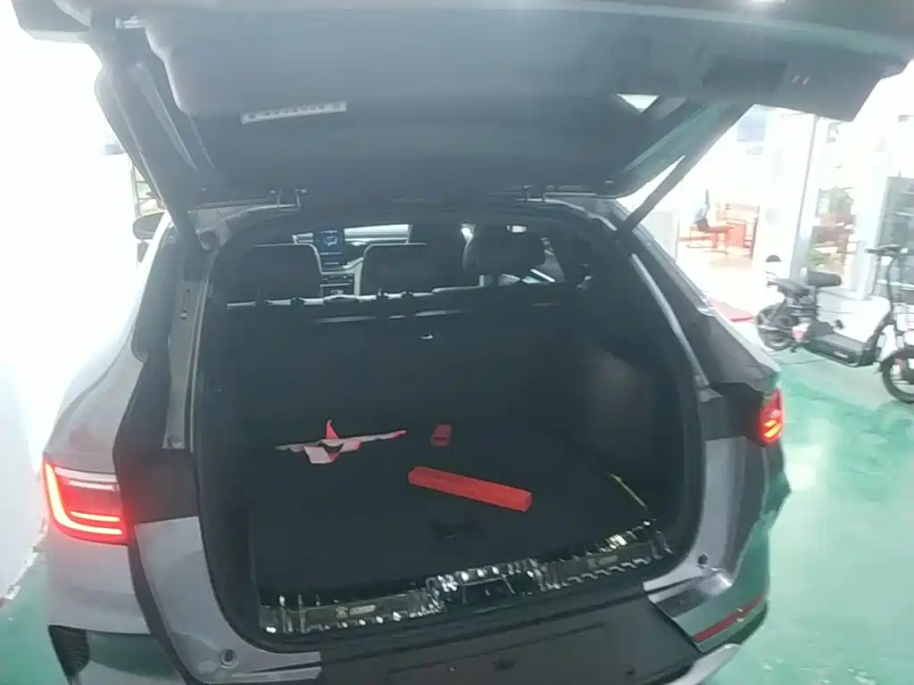 BYD PLUS New Energy 2022 — фото 19