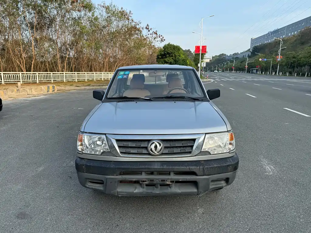 Dongfeng Ruiqi 2013