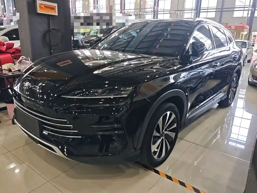 BYD PLUS New Energy 2024 — фото 2