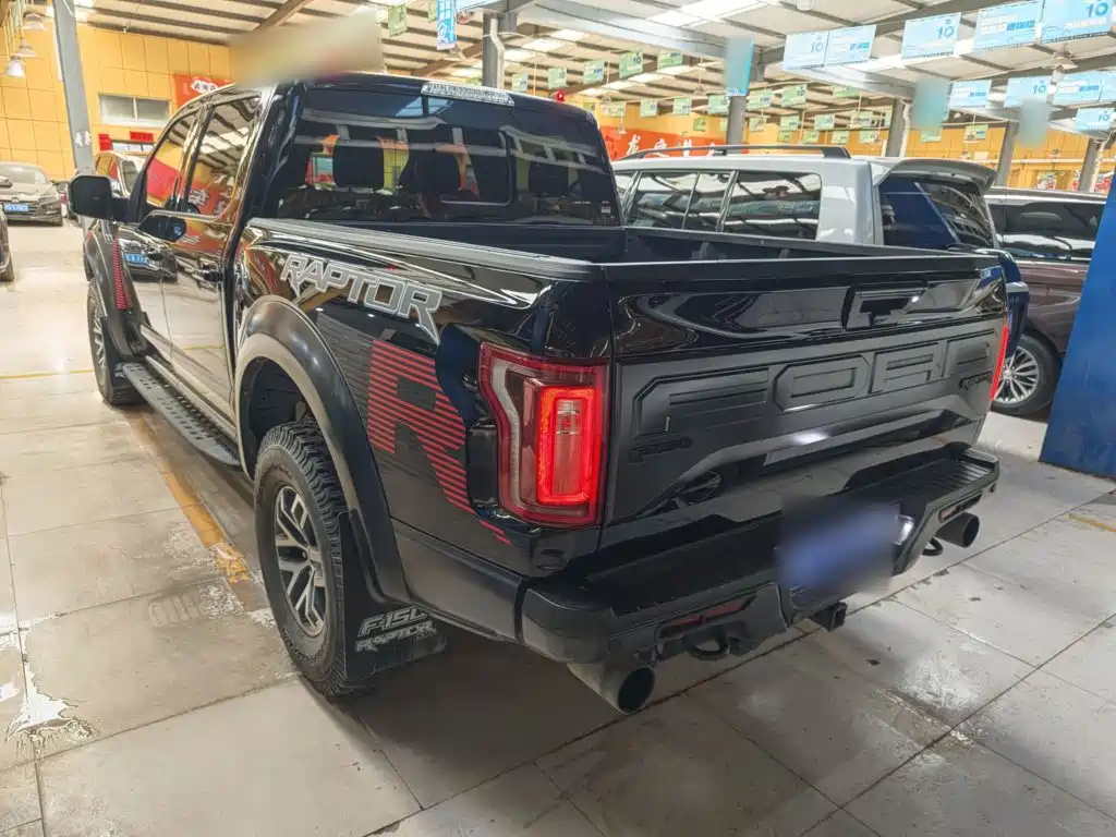 Ford F-150 Raptor 2019 — фото 12
