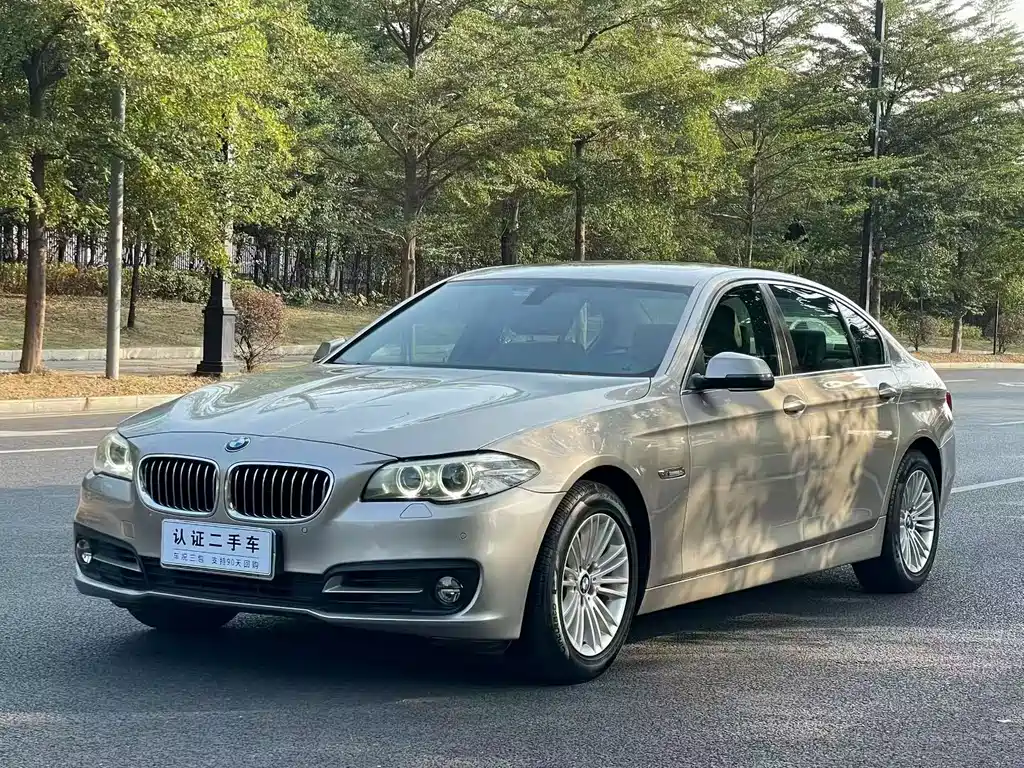 BMW 5 Series 2015 — фото 1