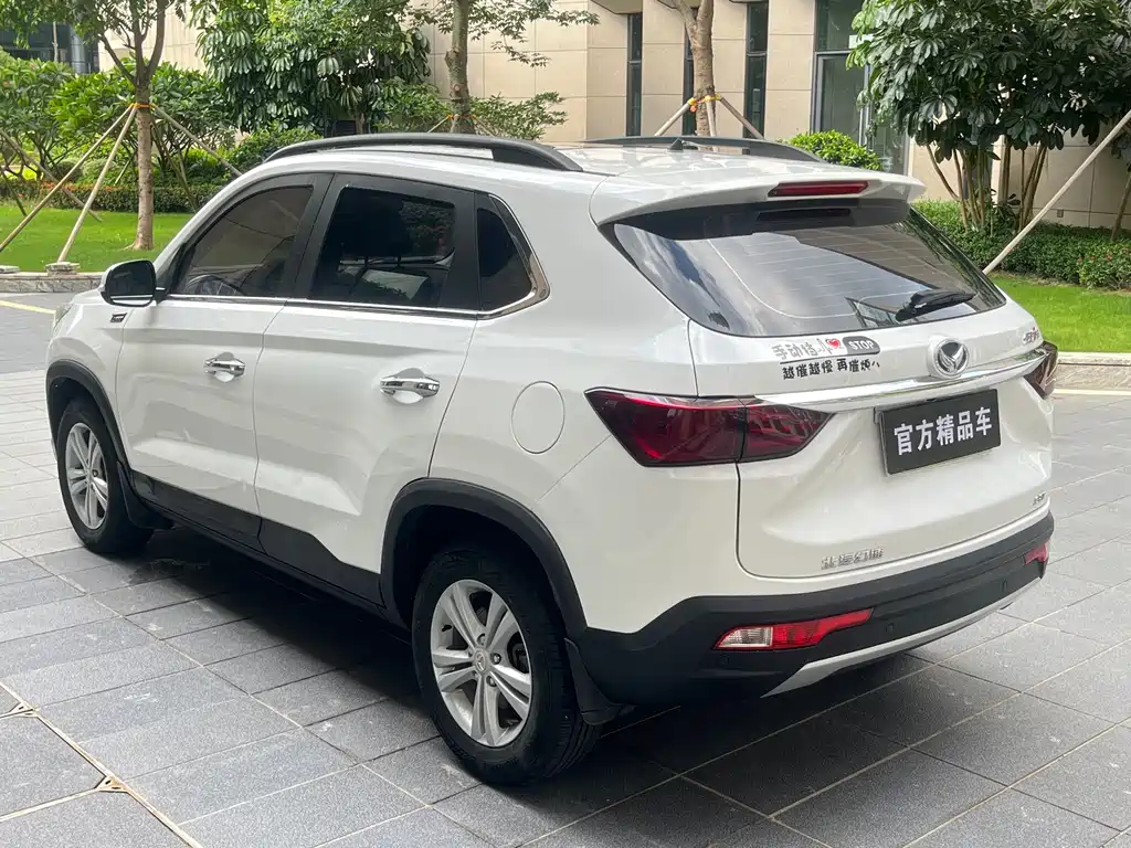 Huasu Huansu S5 2018 — фото 4