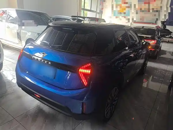 MINI MINI 2025