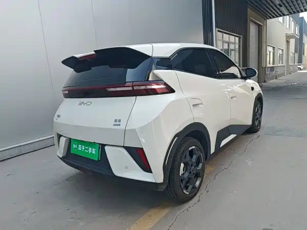 BYD Seagull 2025