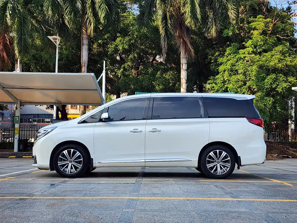 GAC Trumpchi M8 2018 — фото 4