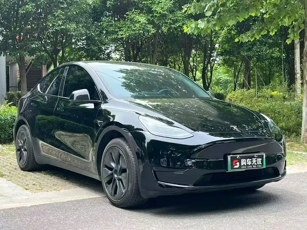 Tesla Model Y 2024 — фото 3