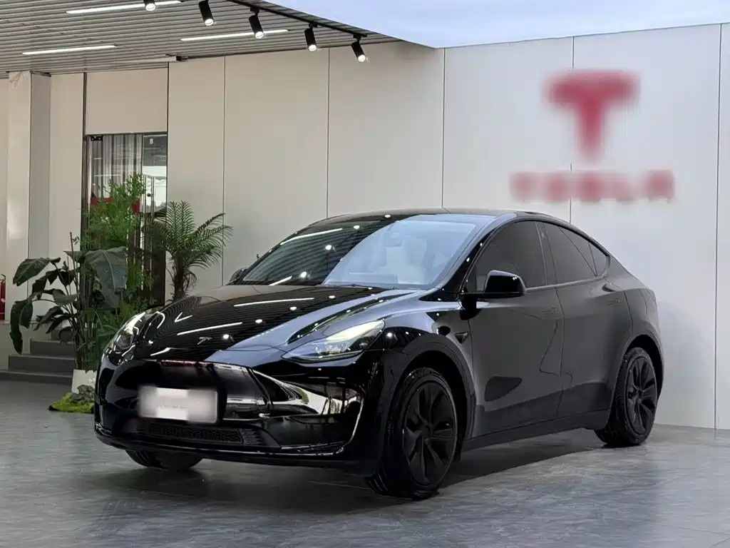 Tesla Model Y 2022 — фото 2
