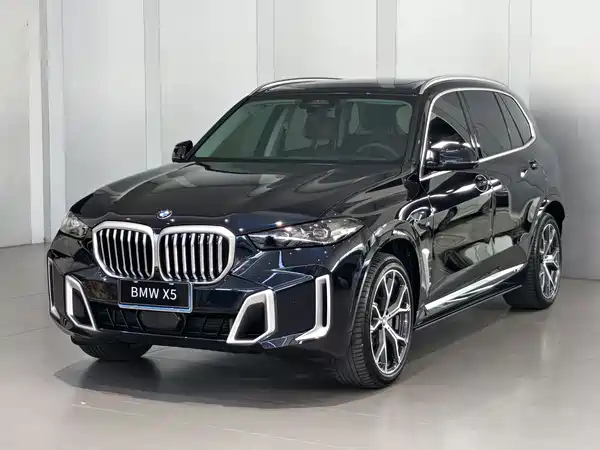 BMW X5 2024