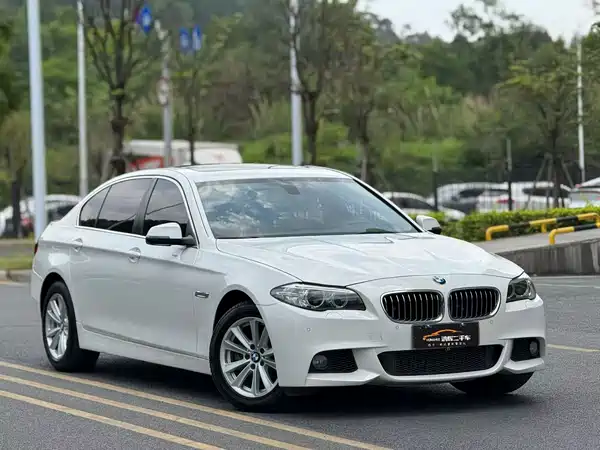 BMW 5 Series 2014