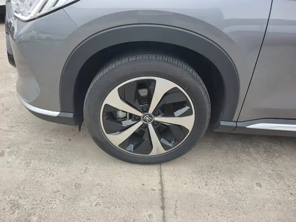 BYD PLUS New Energy 2022 — фото 23