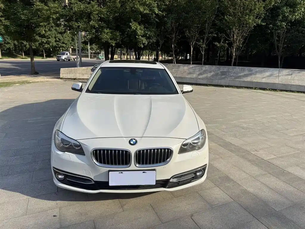 BMW 5 Series 2016 — фото 2