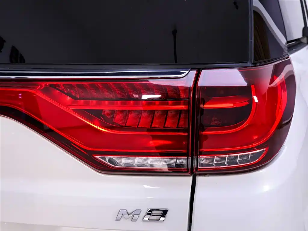 GAC Motor Trumpchi M8 2022 — фото 9