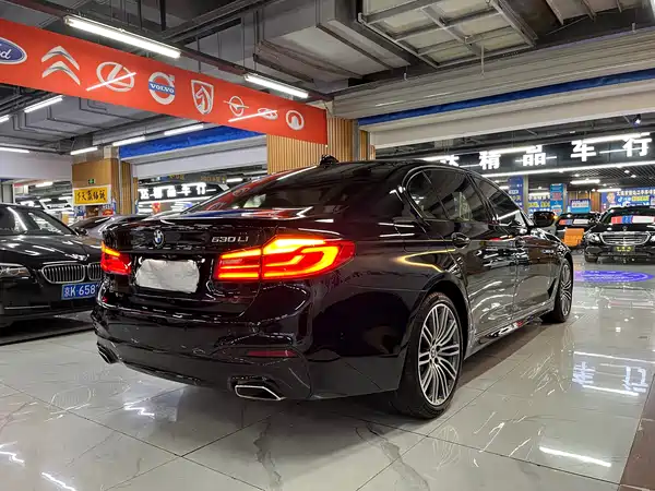 BMW 5 Series 2019