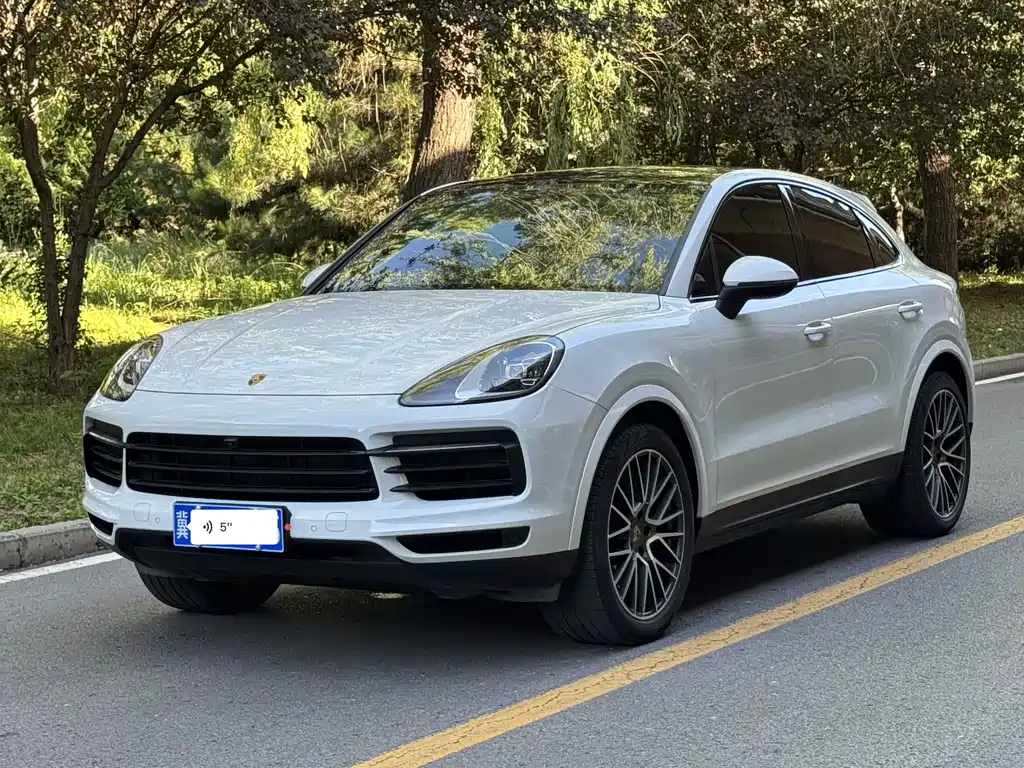 Porsche Cayenne 2022 — фото 1