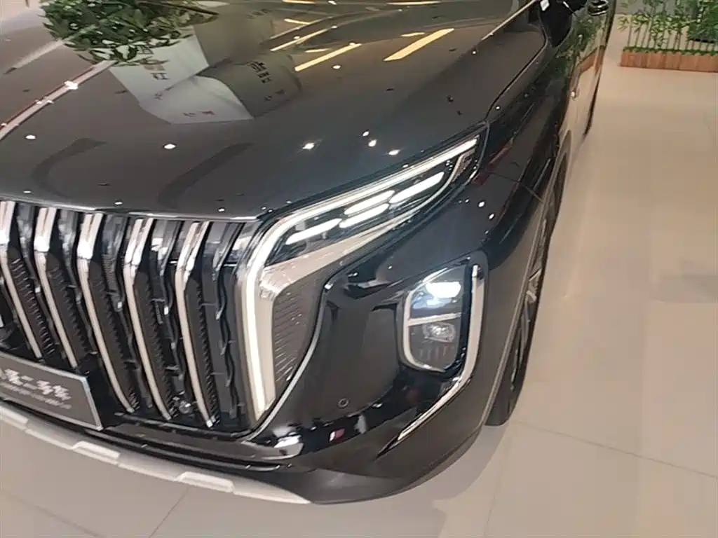 Hongqi HS7 PHEV 2024 — фото 24