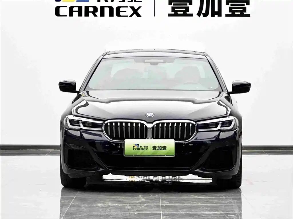 BMW 5 Series New Energy 2020 — фото 2