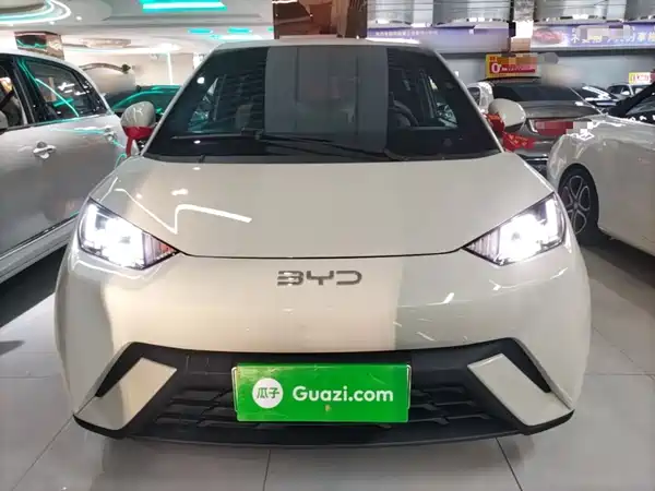 BYD Seagull 2024