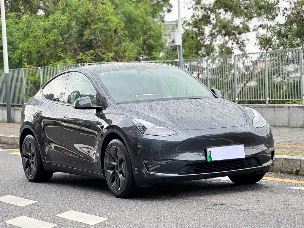 Tesla Model Y 2024 — фото 2