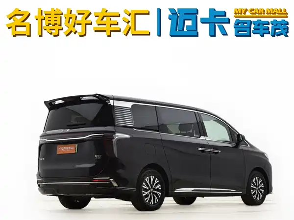 Hongqi HQ9 PHEV 2024