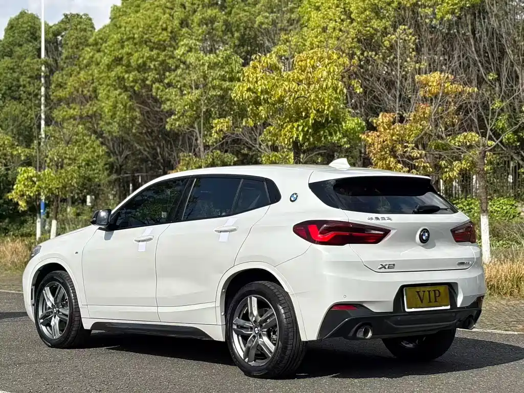 BMW X2 2023 — фото 6