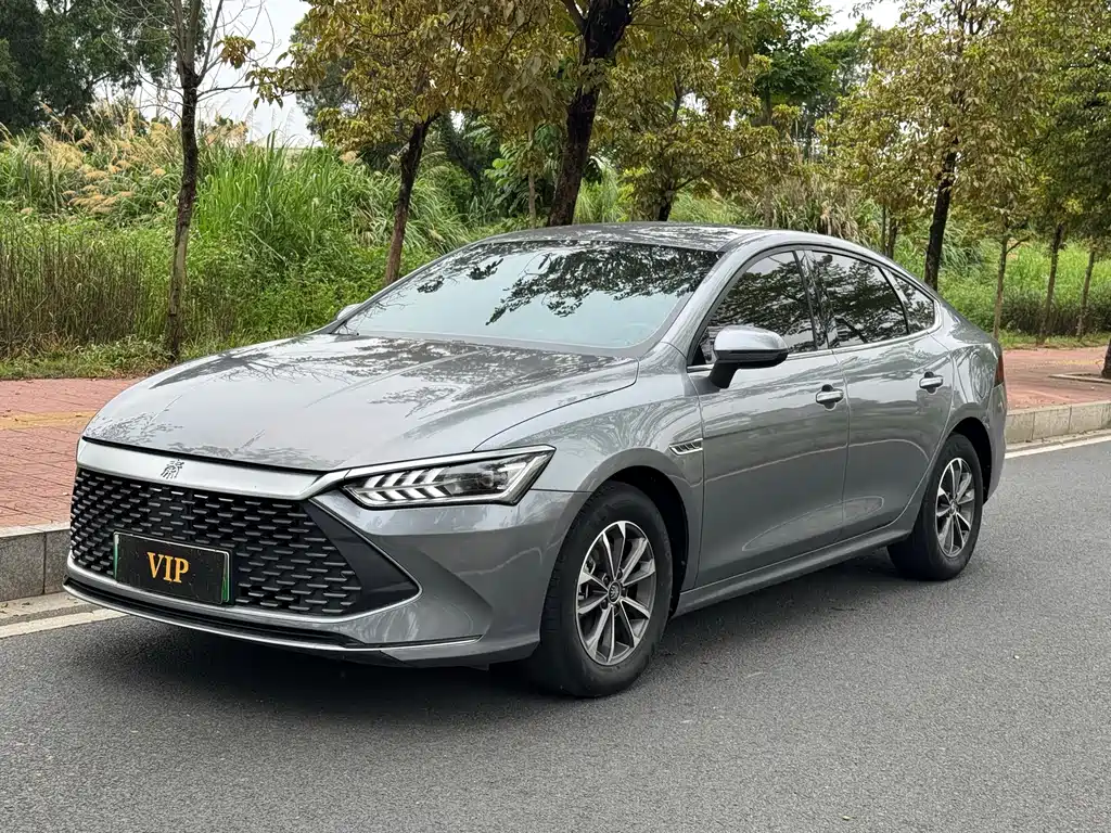 BYD Qin PLUS 2024 — фото 2