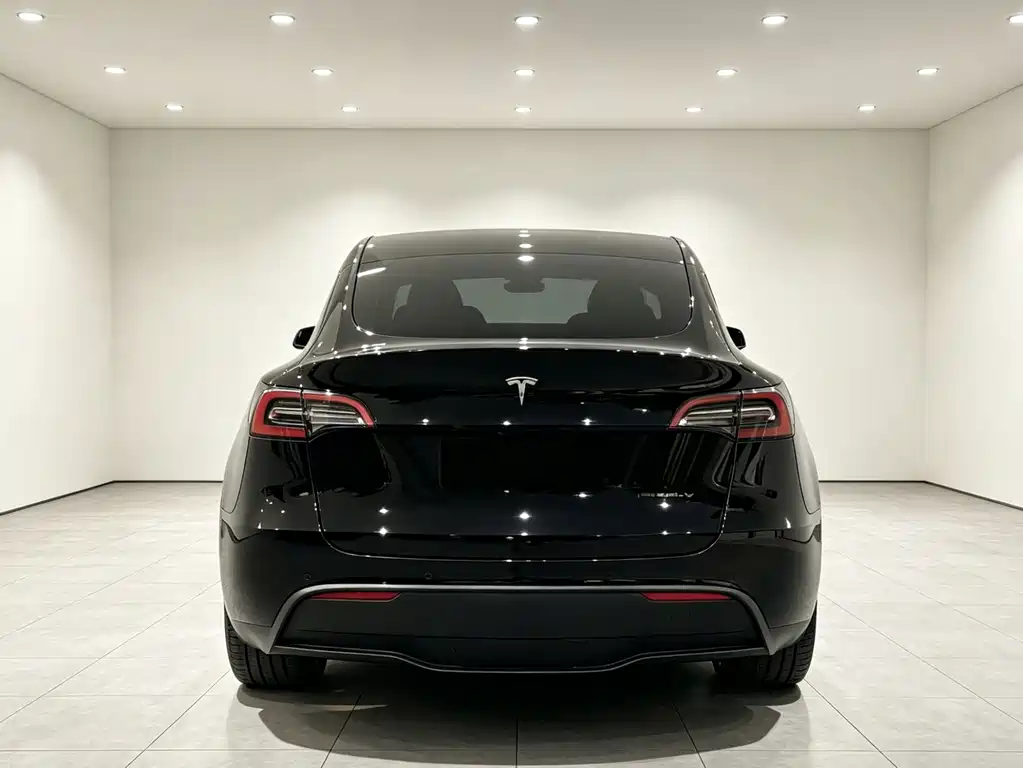 Tesla Model Y 2023 — фото 14