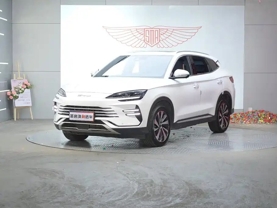 BYD PLUS New Energy 2023 — фото 1