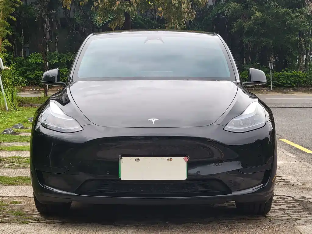 Tesla Model Y 2023 — фото 2