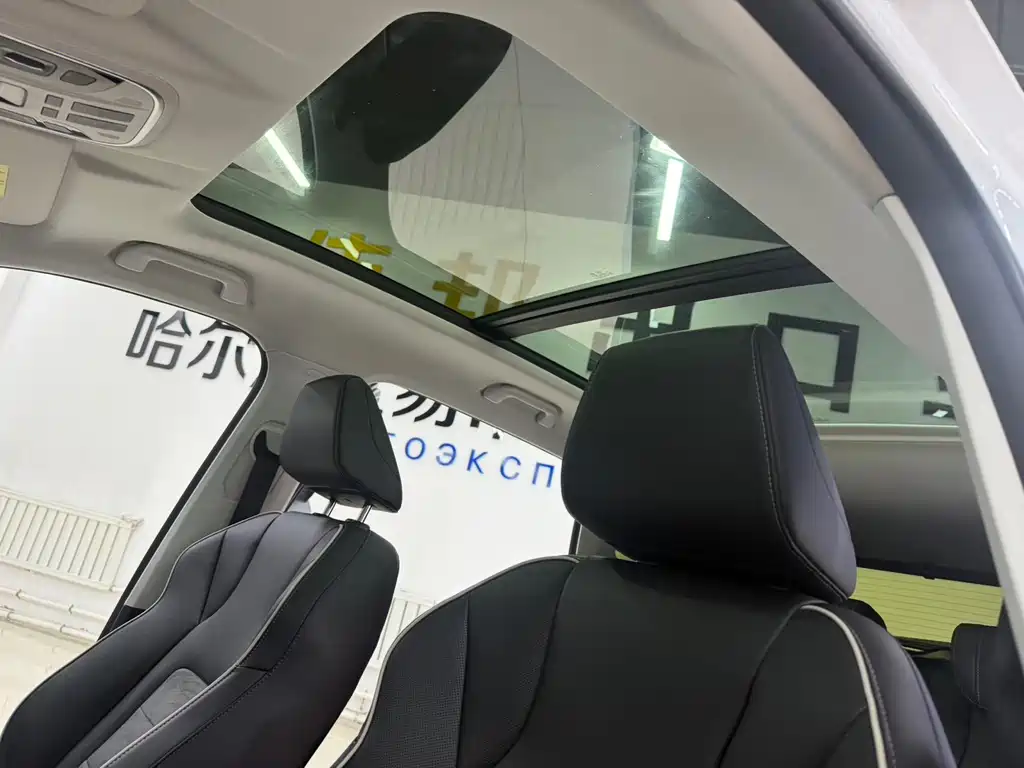 Haval H6 2023 — фото 14