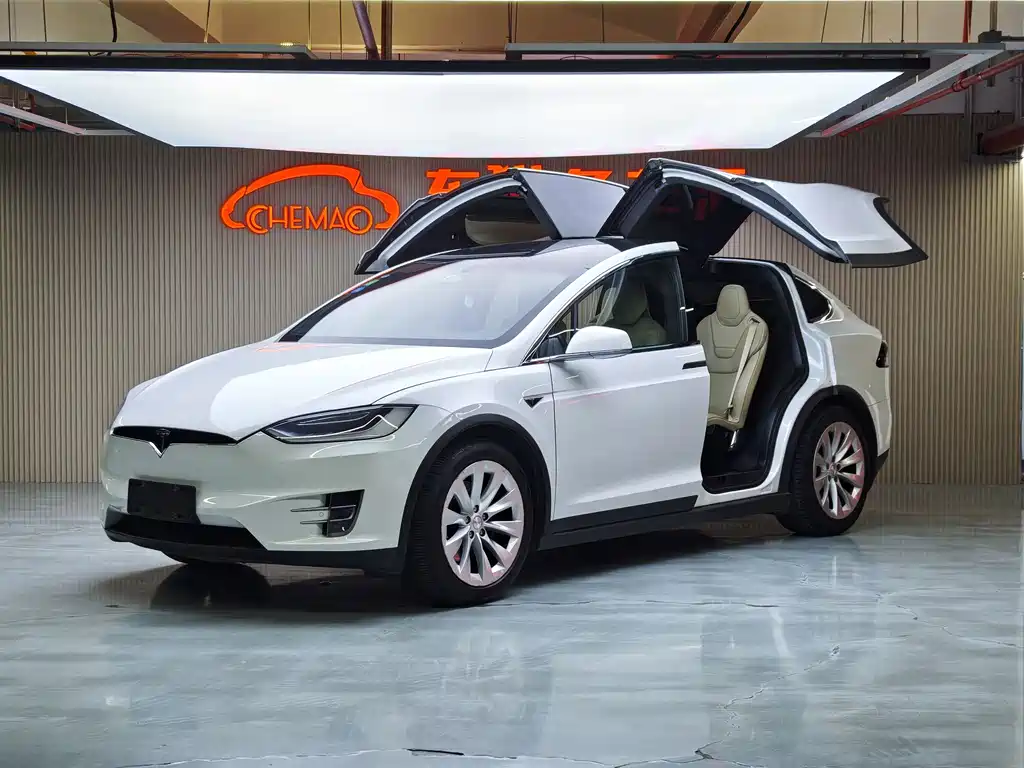 Tesla Model X 2017 — фото 9