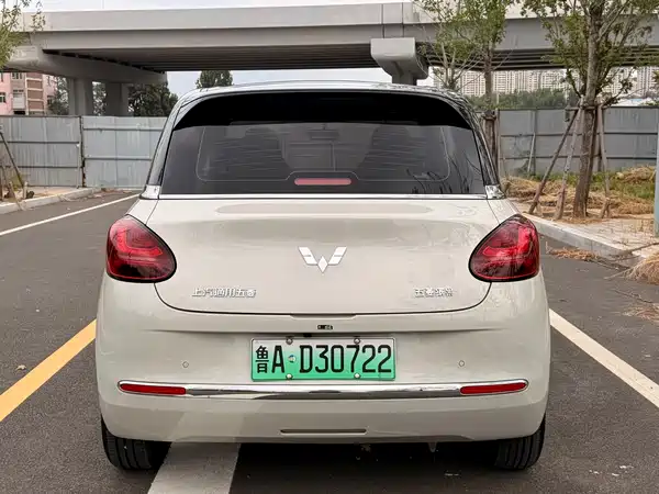 Wuling Bingo 2024