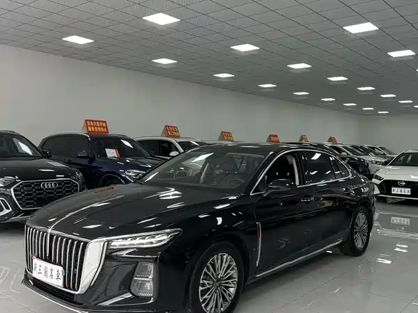 Hongqi H5 2023