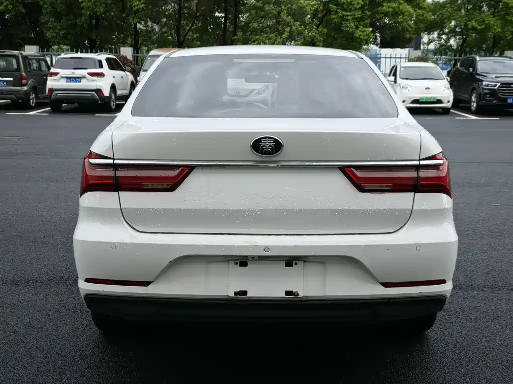 BYD Qin NEV 2020 — фото 9