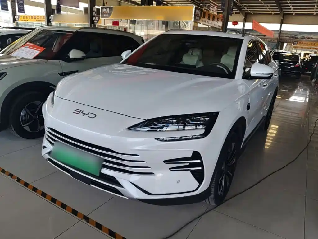 BYD PLUS New Energy 2025 — фото 2