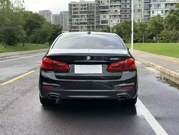 BMW 5 Series 2019