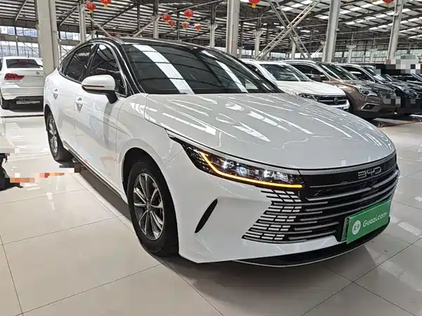 BYD Destroyer 05 2024