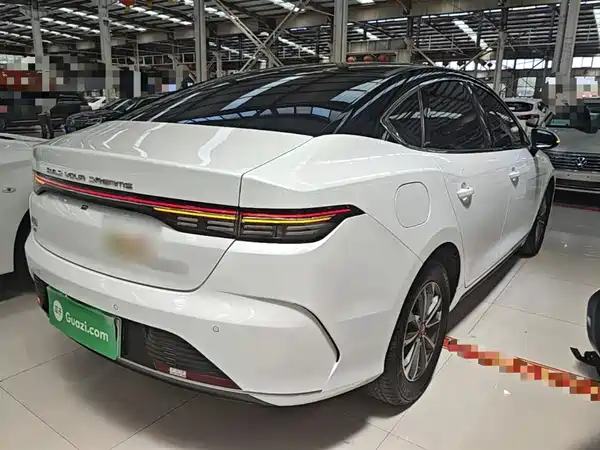 BYD Destroyer 05 2024