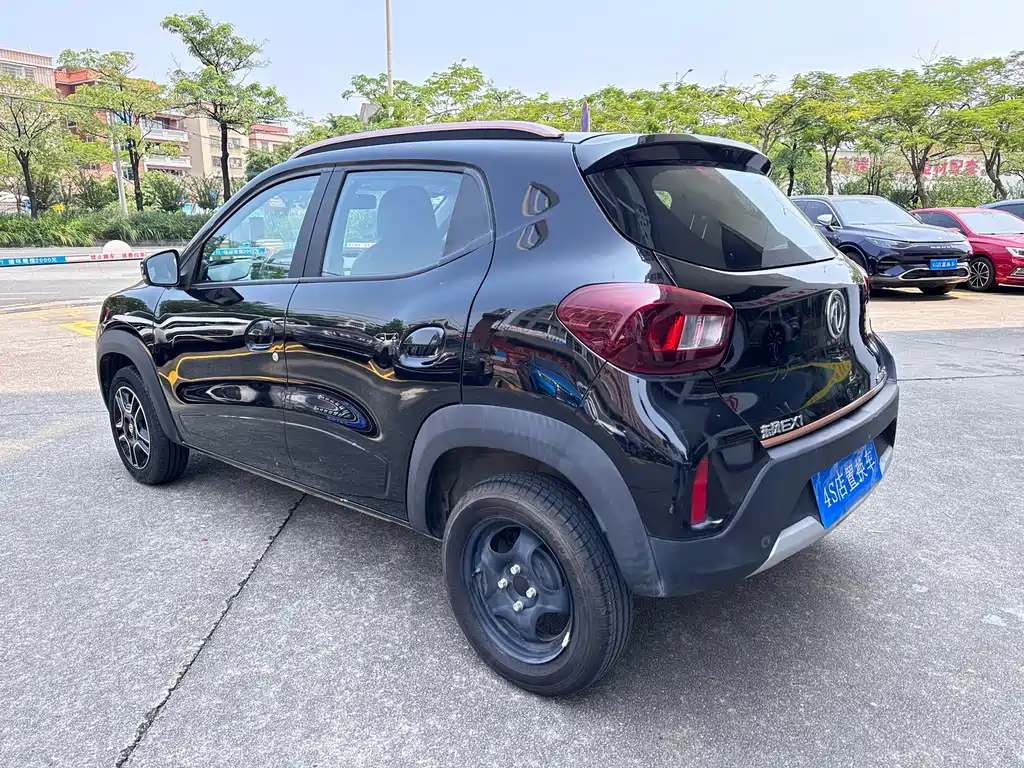 Dongfeng Nano BOX 2024