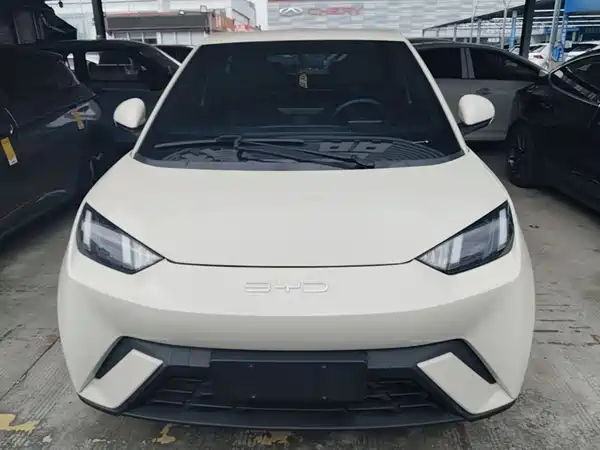 BYD Seagull 2024