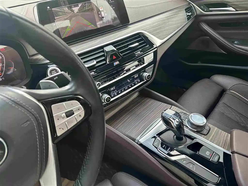 BMW 5 Series 2019 — фото 13