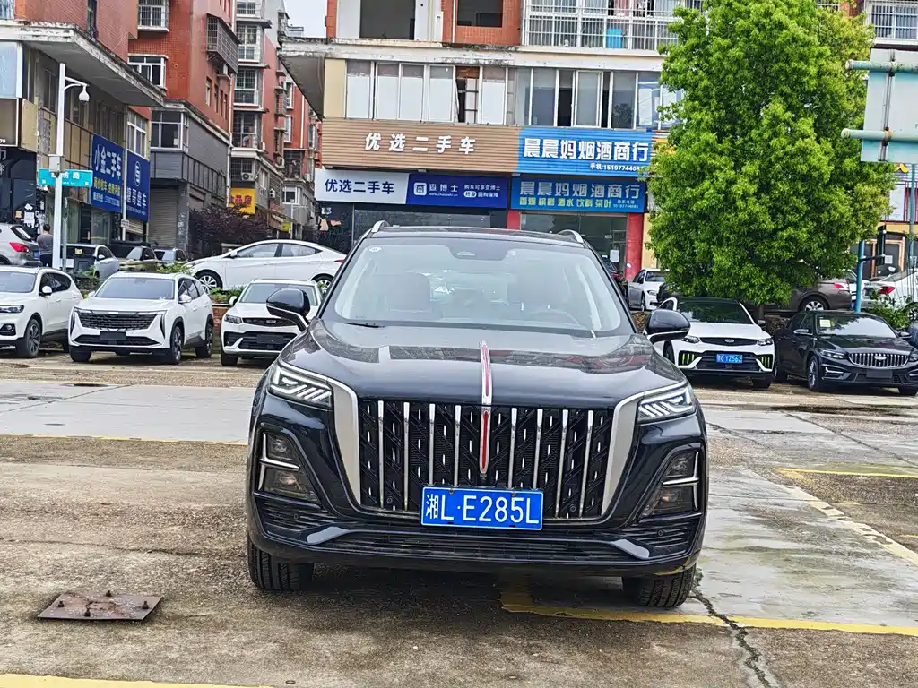 Hongqi HS5 2025 — фото 4