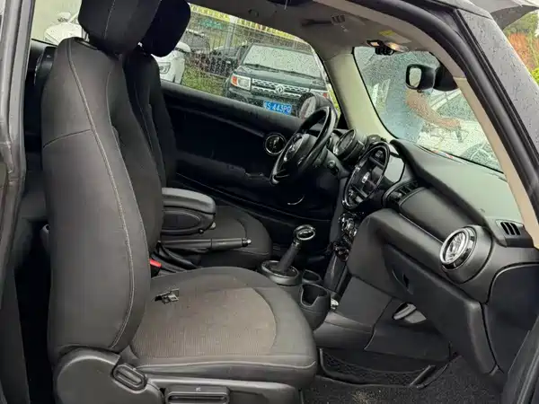 MINI 2018