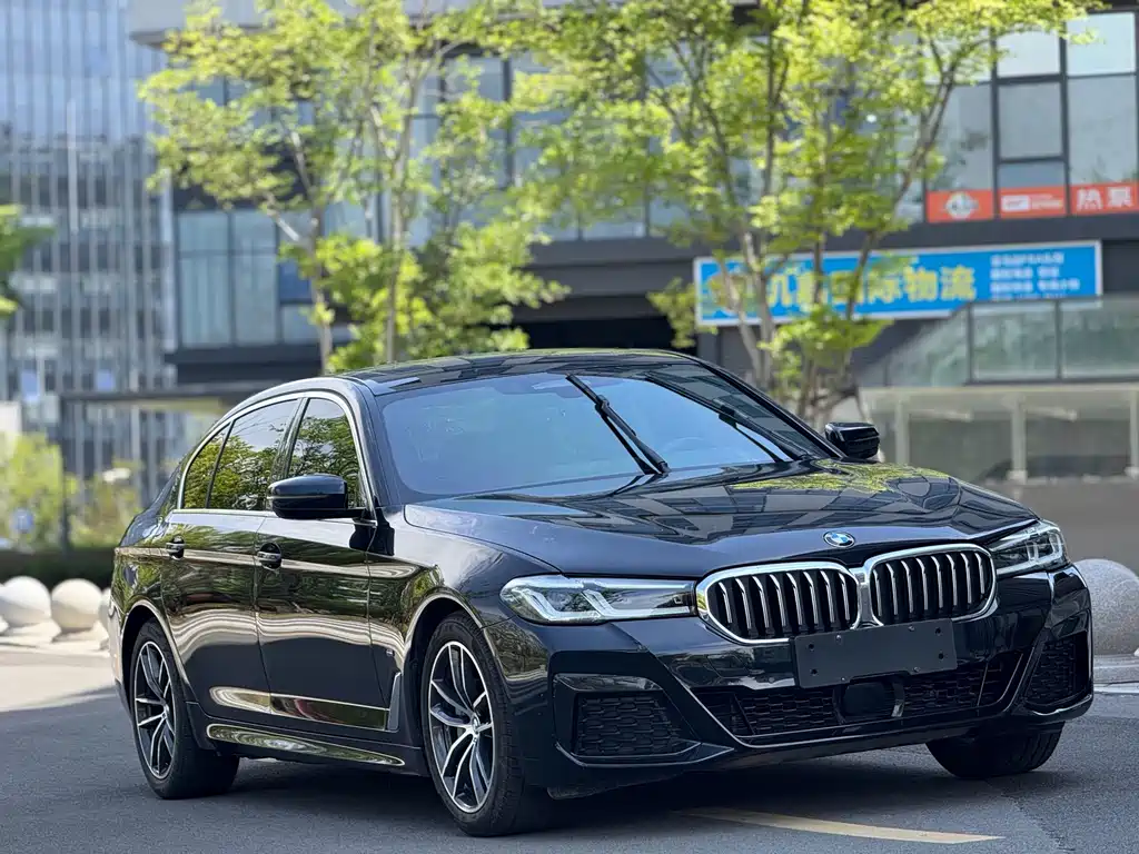 BMW 5 Series New Energy 2021 — фото 3
