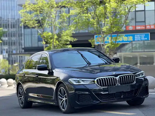 BMW 5 Series New Energy 2021