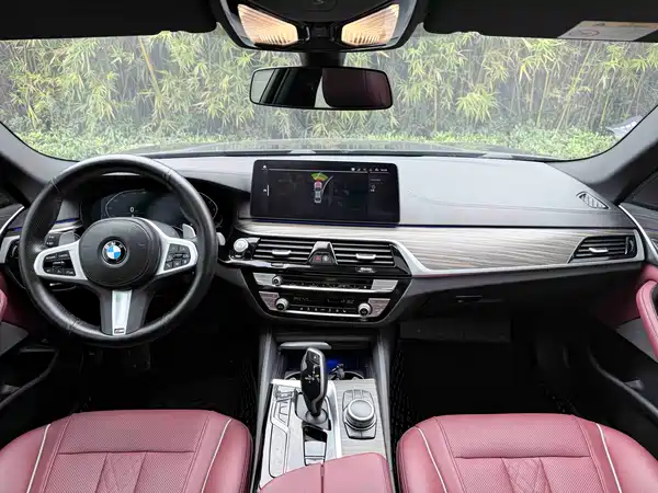 BMW 5 Series 2021
