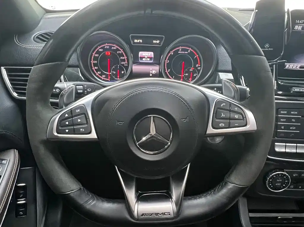 Mercedes-Benz GLS AMG 2019 — фото 13