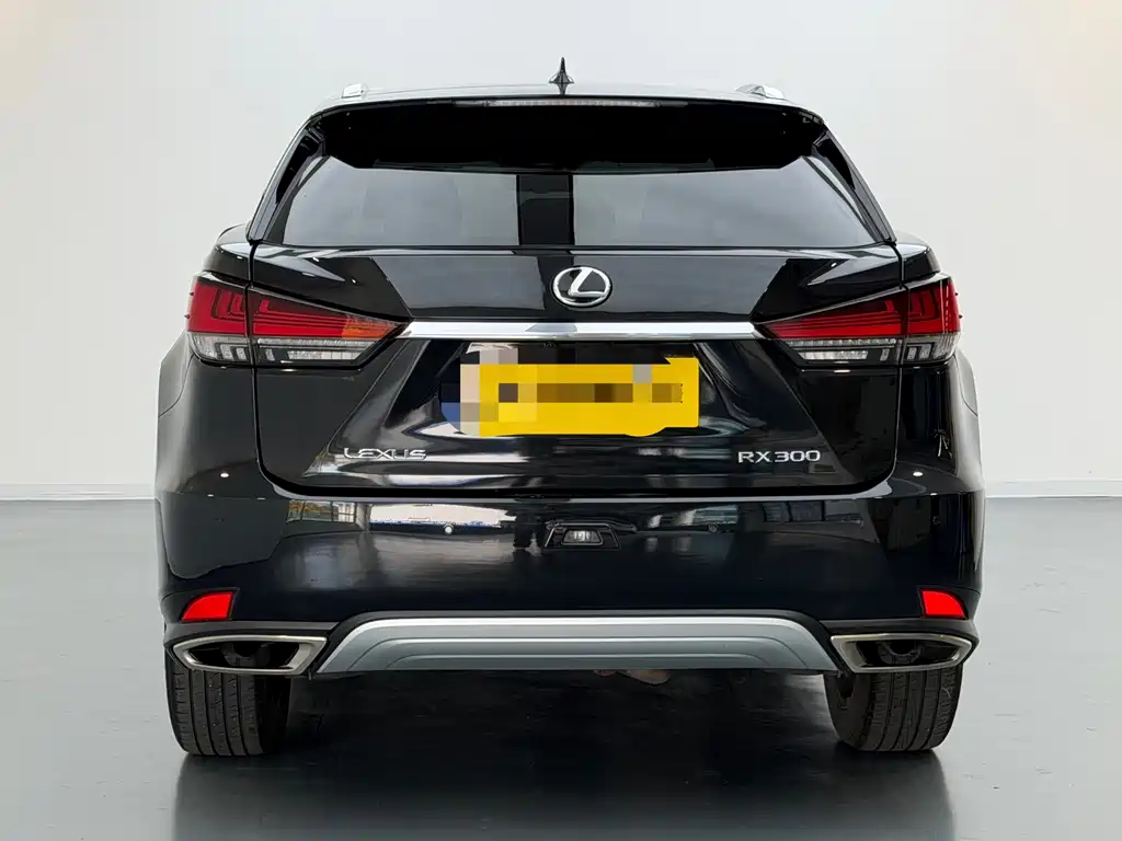 Lexus RX 2022 — фото 5