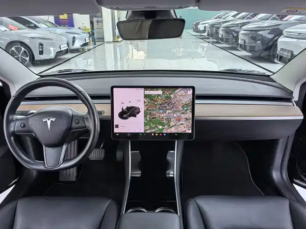 Tesla Model 3 2019