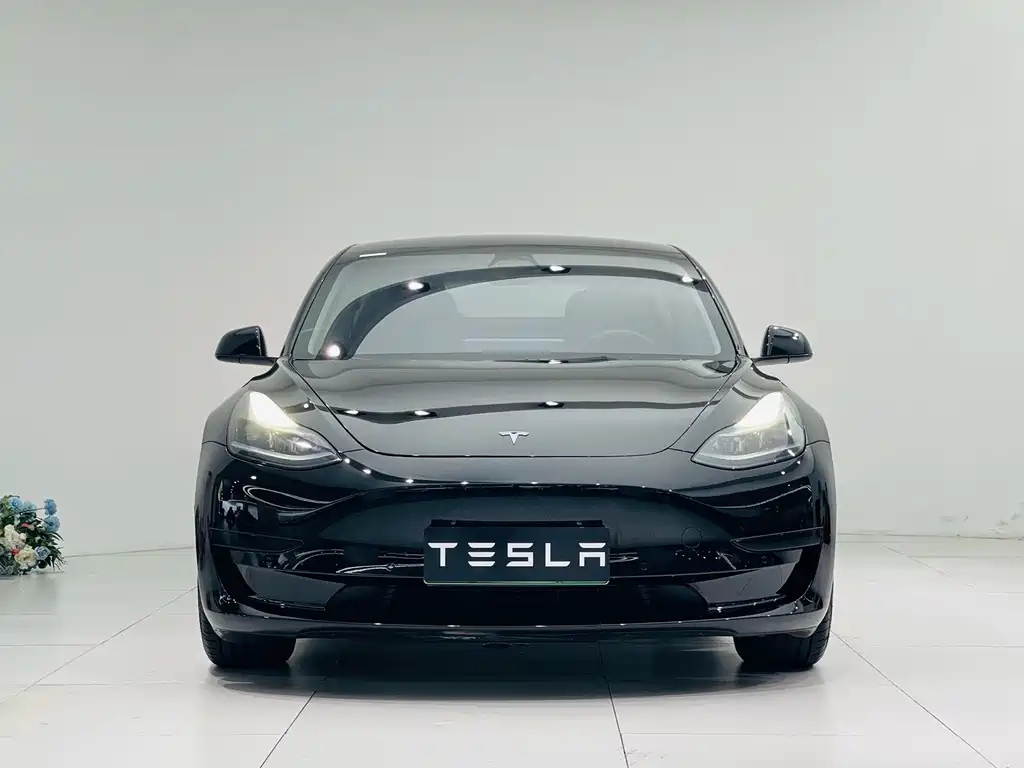 Tesla Model 3 2022 — фото 2